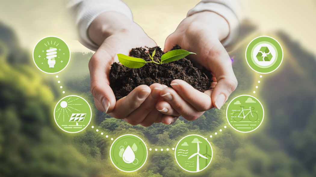 SQM Club: Building a Lifestyle of Sustainability One Step at a Time