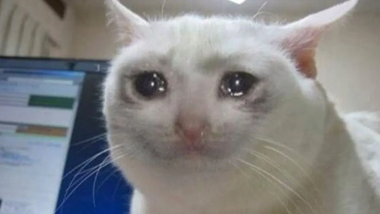 The Crying Cat Meme: How a Tearful Feline Became the Internet’s Emotional Icon